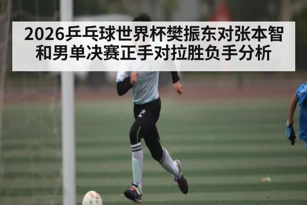 2026乒乓球世界杯樊振东对张本智和男单决赛正手对拉胜负手分析